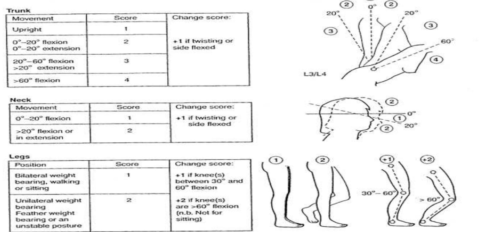 (PDF) The Ergonomic Risk Analysis with Reba Method in Production Line