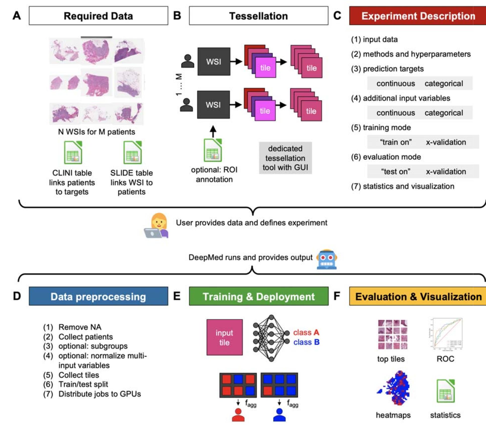 (PDF) DeepMed: A unified, modular pipeline for end-to-end deep learning ...