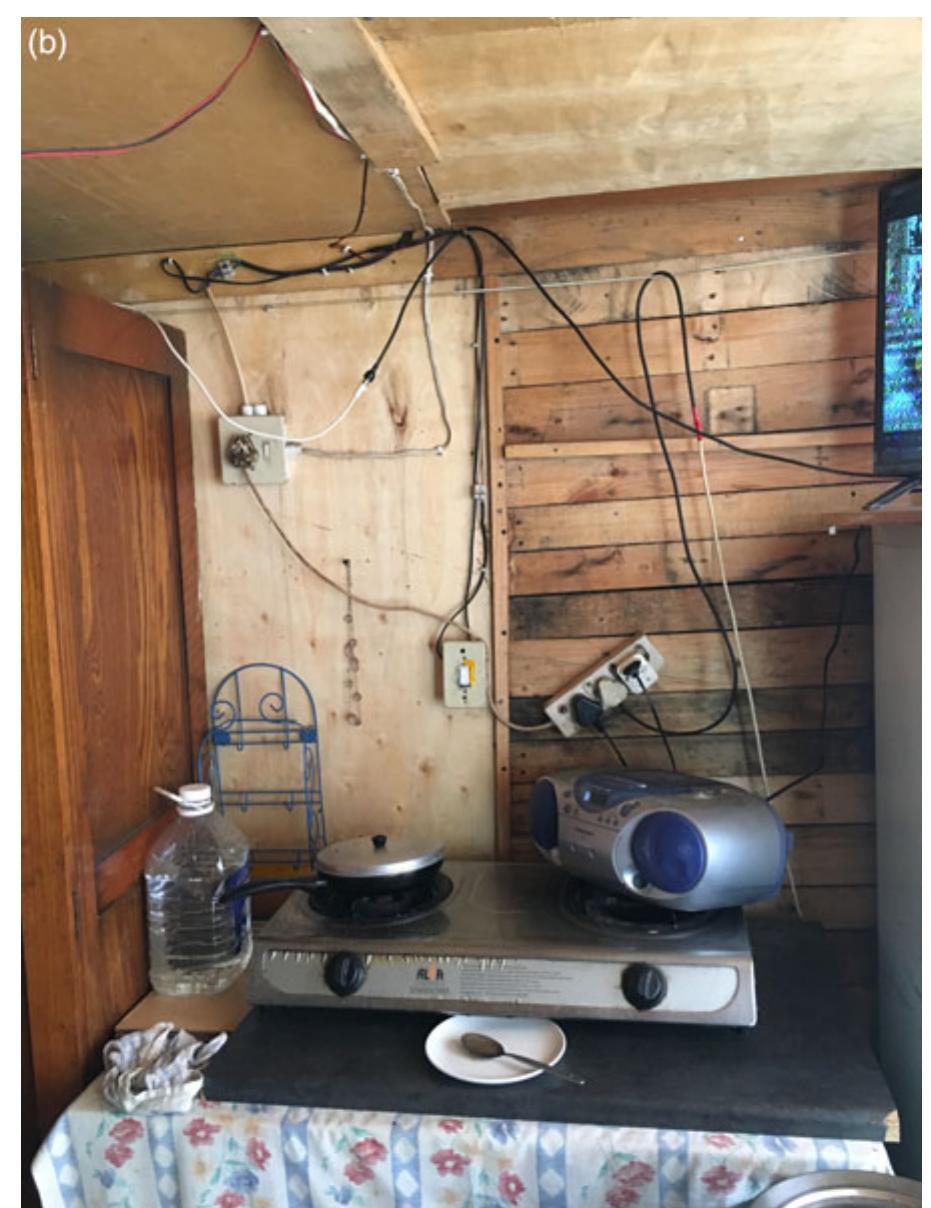 The situation differed for backyard dwellers renting from immediate family members, who demonstrated that under a situation of tenure security and sense of collective ownership, investments are more likely. Characterised by longer tenancies and more durable relationships, familial relationships often provided more enabling conditions for tenant-led upgrades to the structure and service provision; for example: ‘I have put in a toilet, a basin; I’ve water. I 