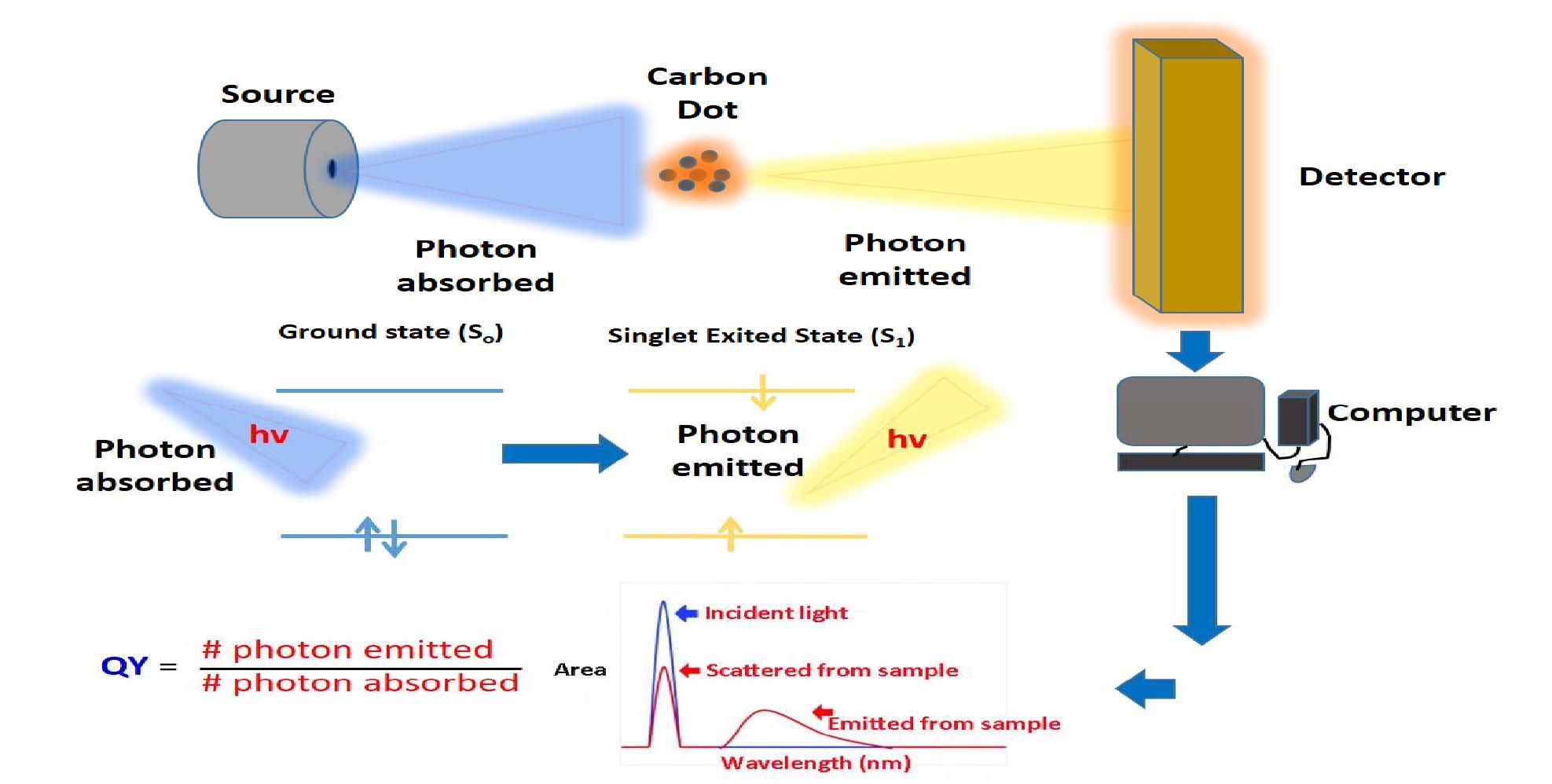 Schematic representation of fluorescent quantum yield