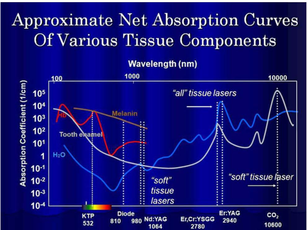 (PDF) Basic Physics of Laser Interaction with Vital Tissue