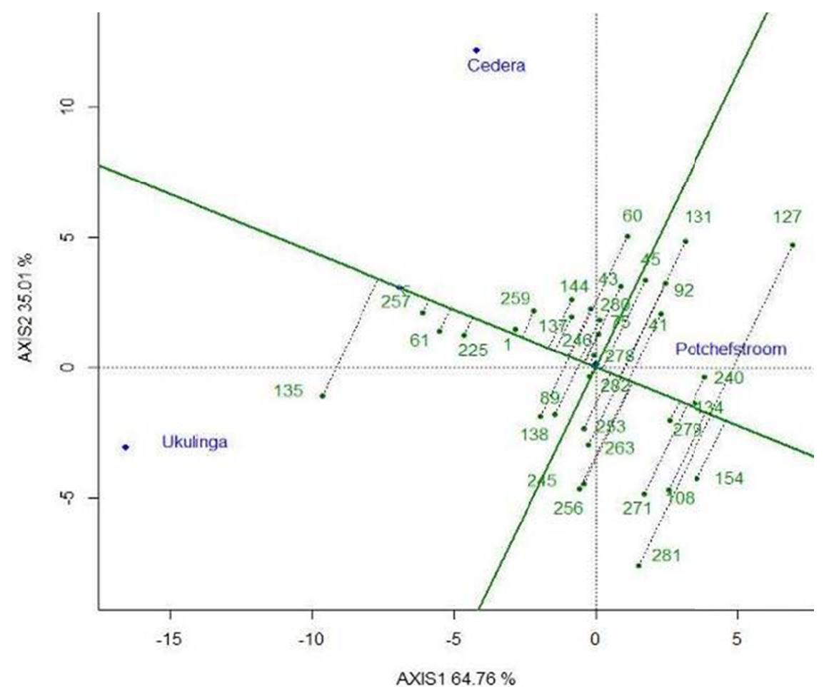 (PDF) Stability Assessment of Single-Cross Maize Hybrids Using GGE ...