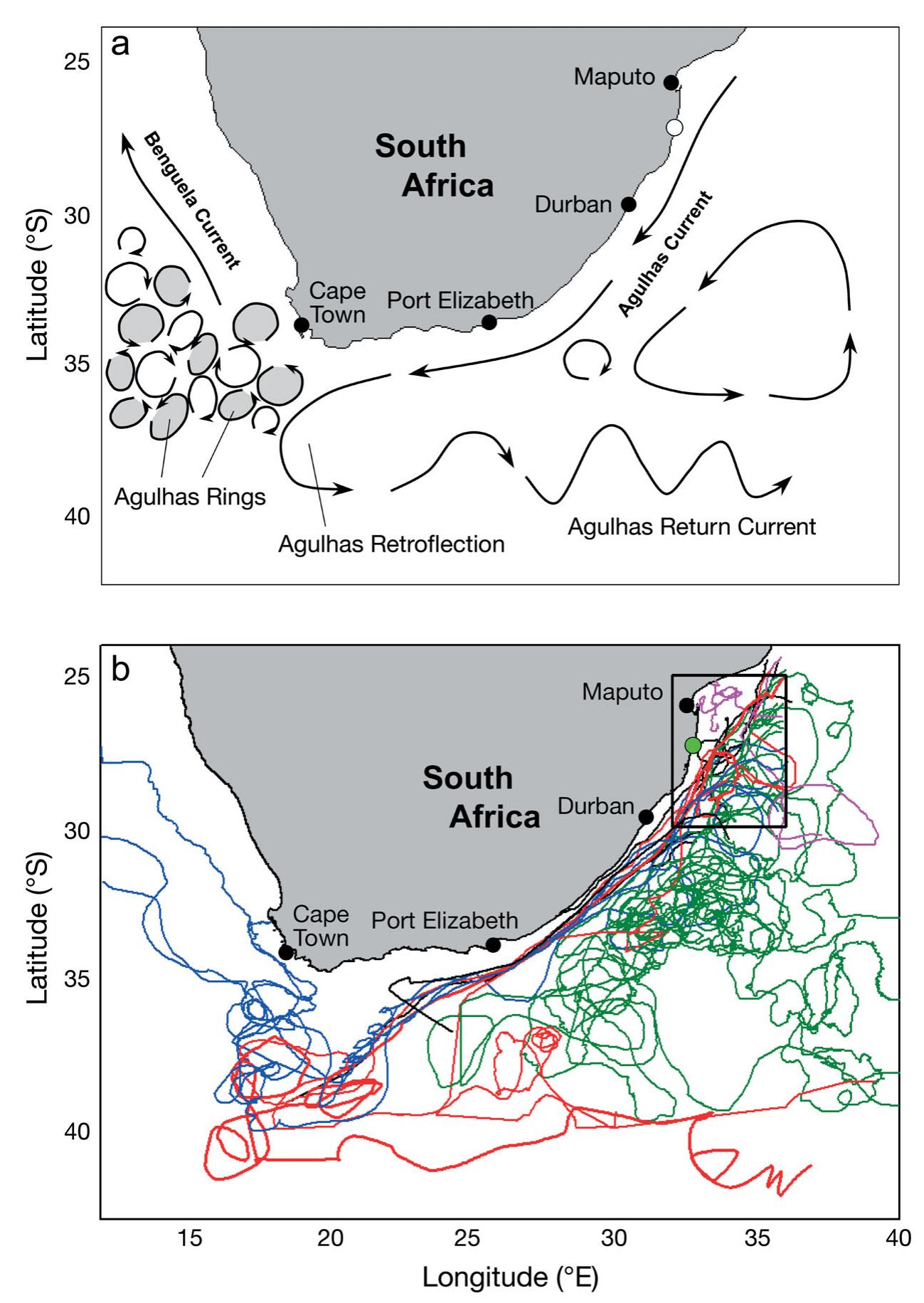 (a) schematic map of the general circulation of surface