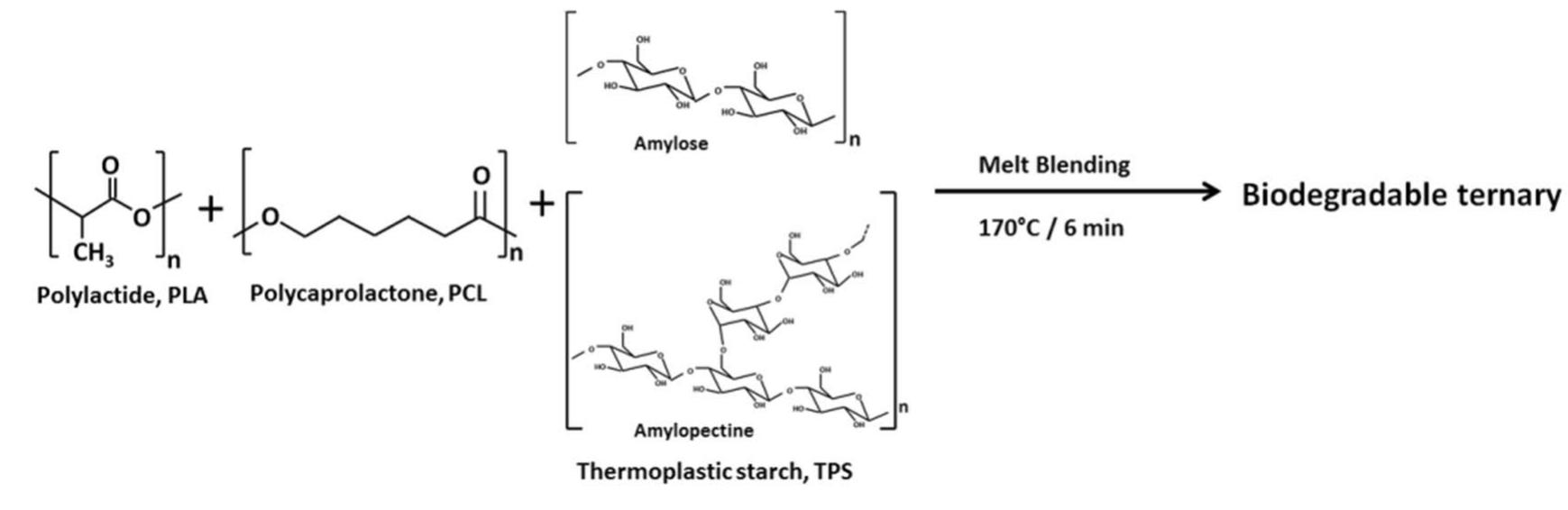 (PDF) Biodegradable Polymer Blends Based on Thermoplastic Starch