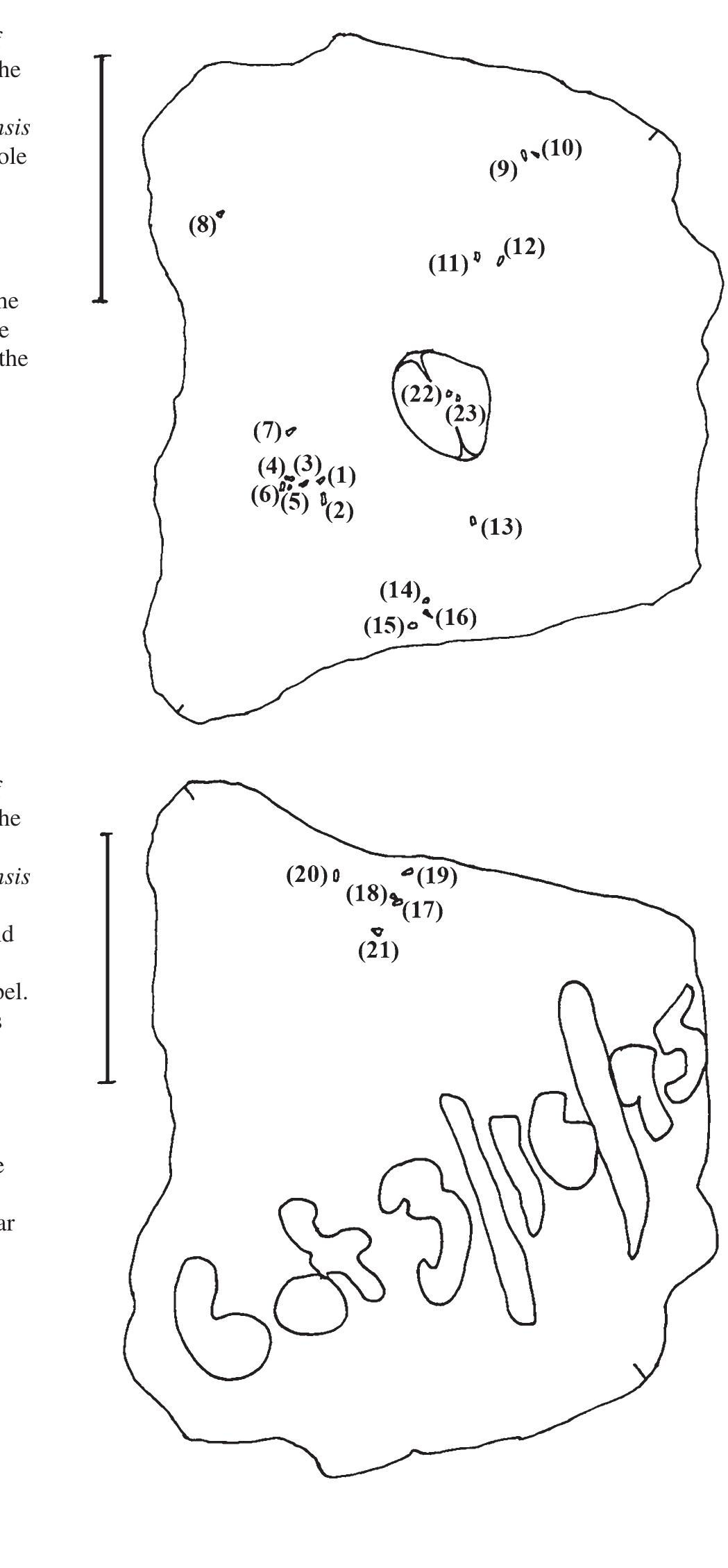 PDF) Deep Time Analysis