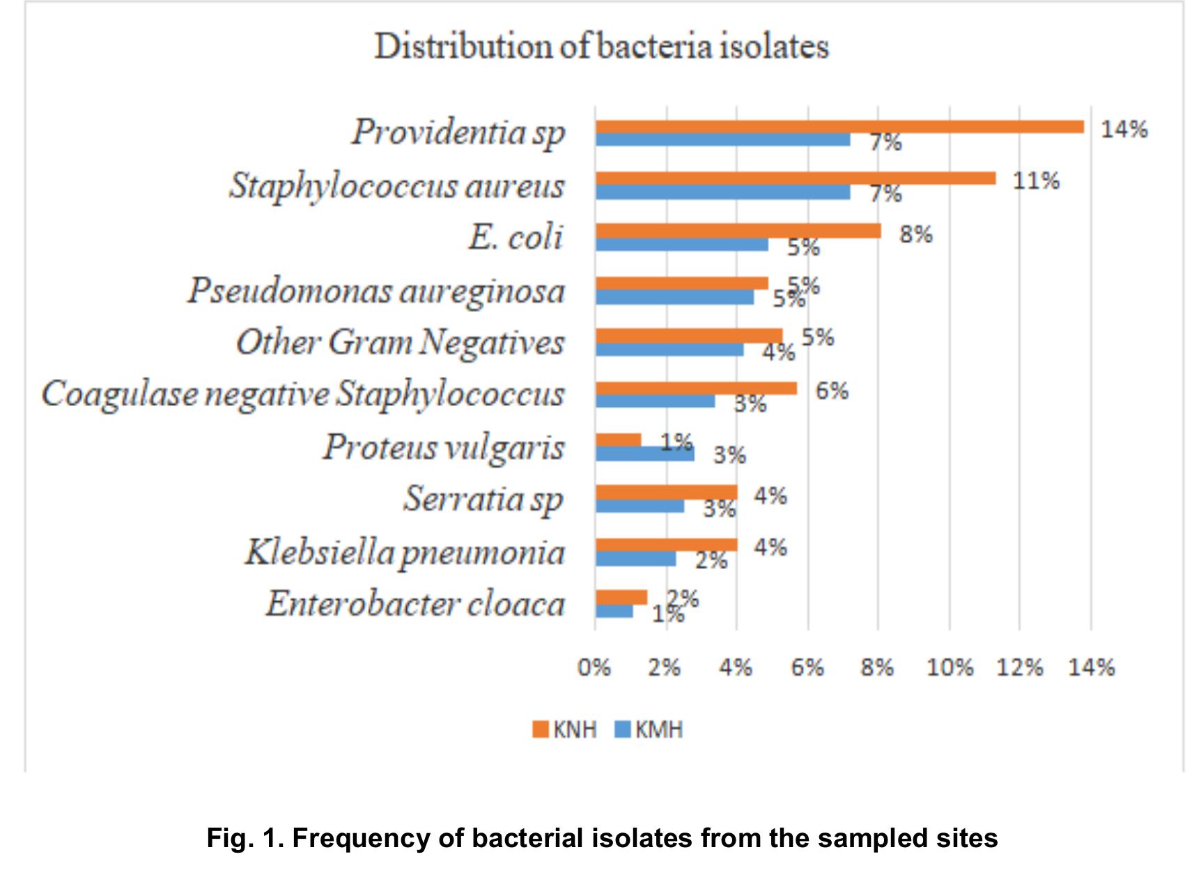 (PDF) Antibiotic Susceptibility Patterns of Bacteria Isolated from ...