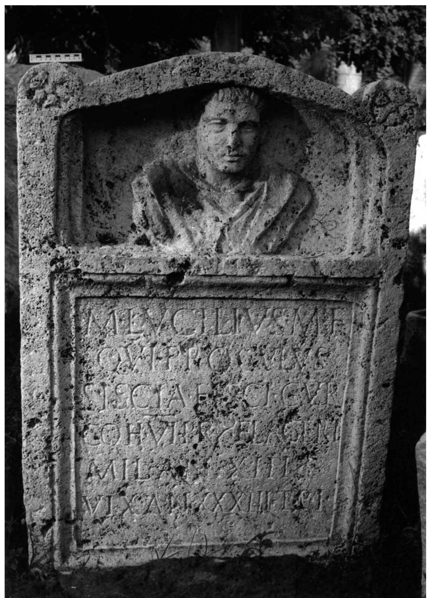 (PDF) The Sisciani in the Roman Empire