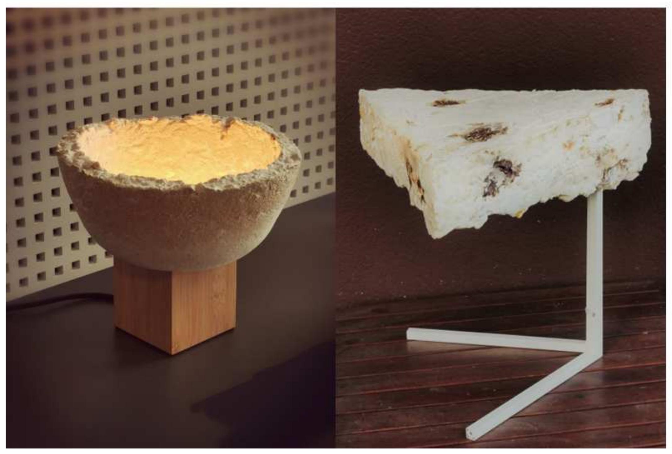 (PDF) Mycelium material in interior design. Acceptance level amongst ...
