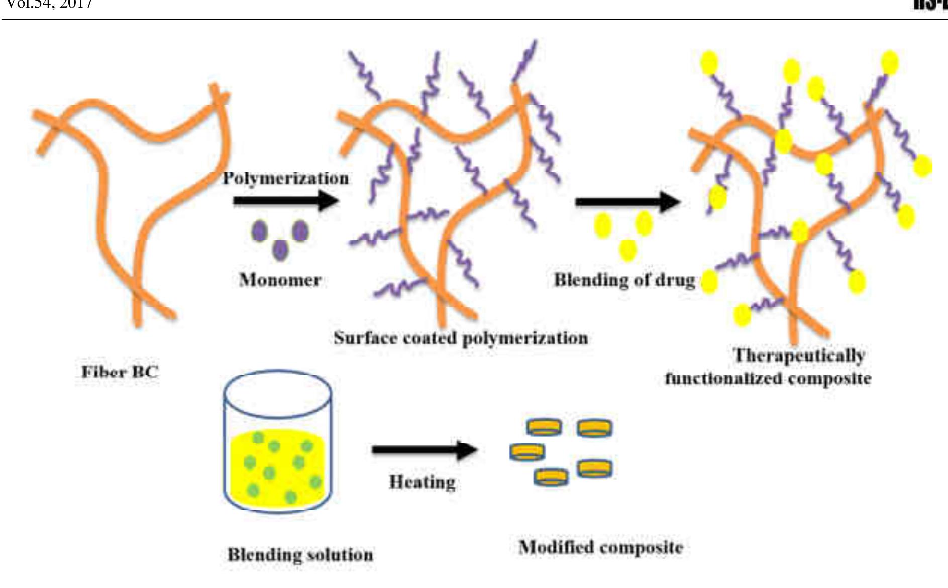 (PDF) Synthesis and characterization of bacterial cellulose/PAni ...