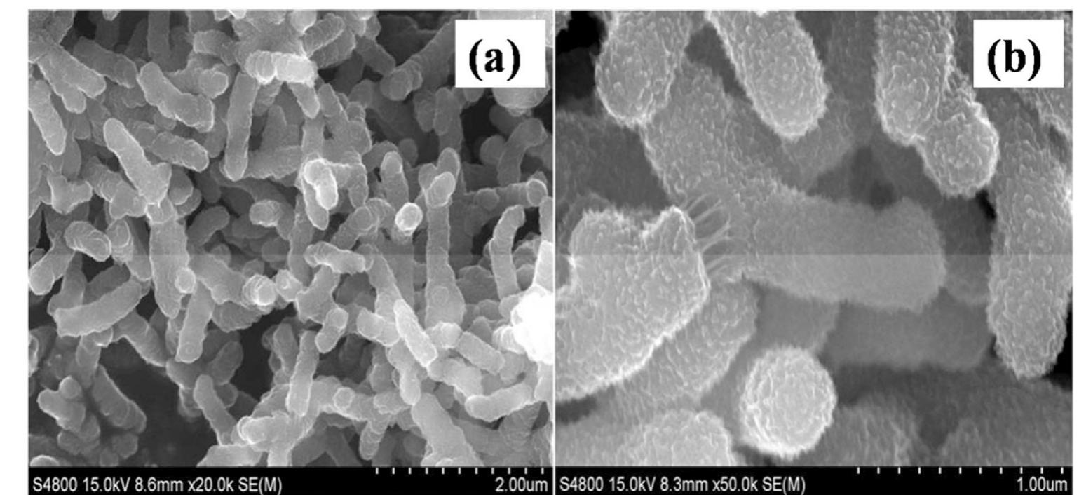 Figure 5 - from A review on the heterostructure