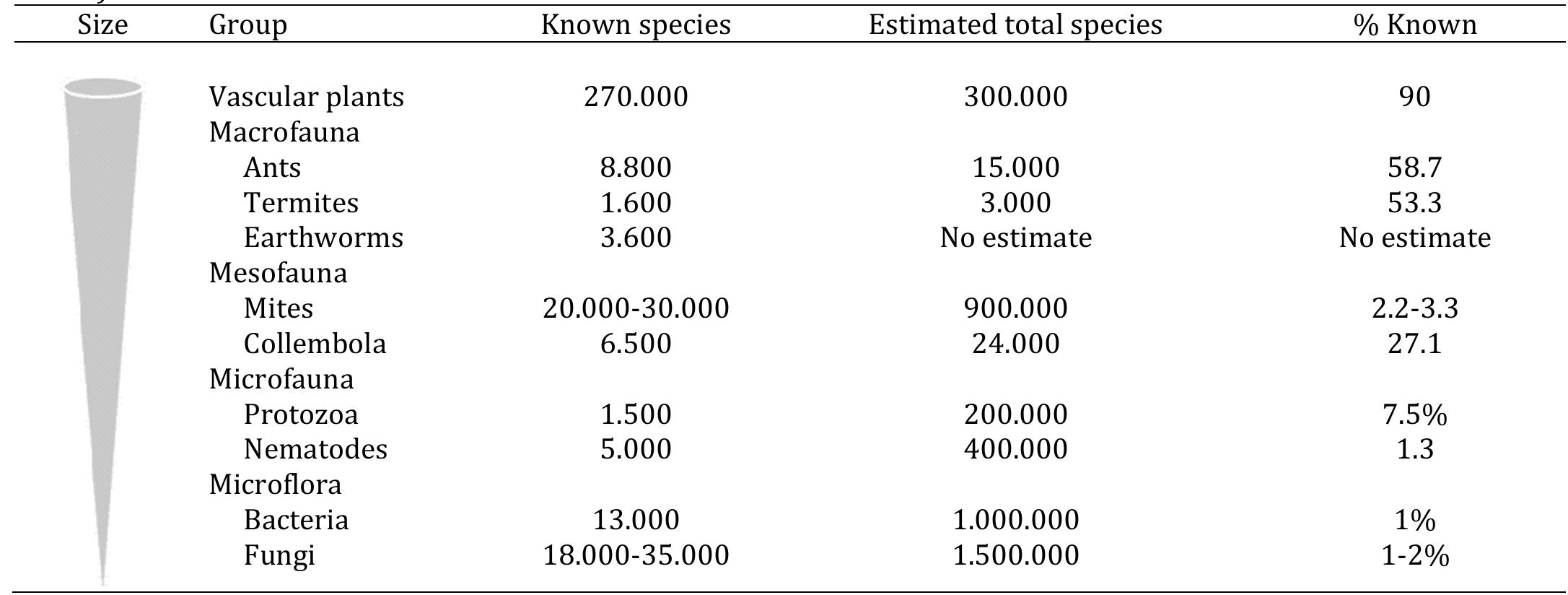 aEstimates for vascular plants (UNEP, 1995) Table 1. Estimated number of species of plants and of soil organisms organized according to body size (After Wall et al. 2001) On the other hand, soil biodiversity is comprised of the organisms that spend all or a portion of their life cycles within the soil or on its immediate surface (Coleman, 2008). This reflects complexity and diversity of the species of living organisms in the soil (invisible microbes to visible macro-biota) (Wall et al., 2001). Thus, soil biota must be selectively studied because of their high diversity and wide distribution in the composite and heterogeneous soil medium at scales ranging from microns to meters (Barrios, 2007). This means that the biodiversity of soil biota is an industry with diverse components that worked together to transform the soils into lively and functional environment. And, as such make up the diversity of life that represents a large fraction of global terrestrial biodiversity in soil (Bardgett, 2005).