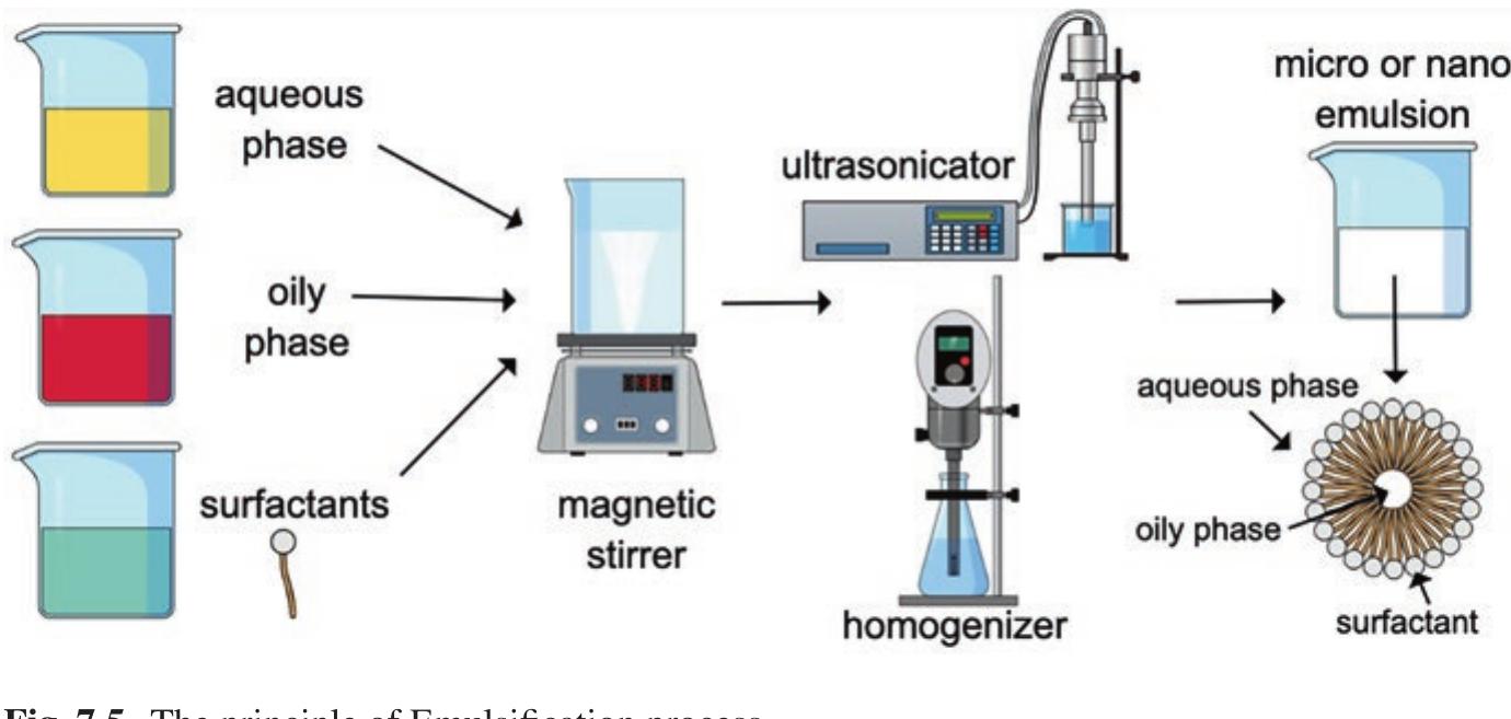 9 morphology of different encapsulated systems 4.1 reservoir