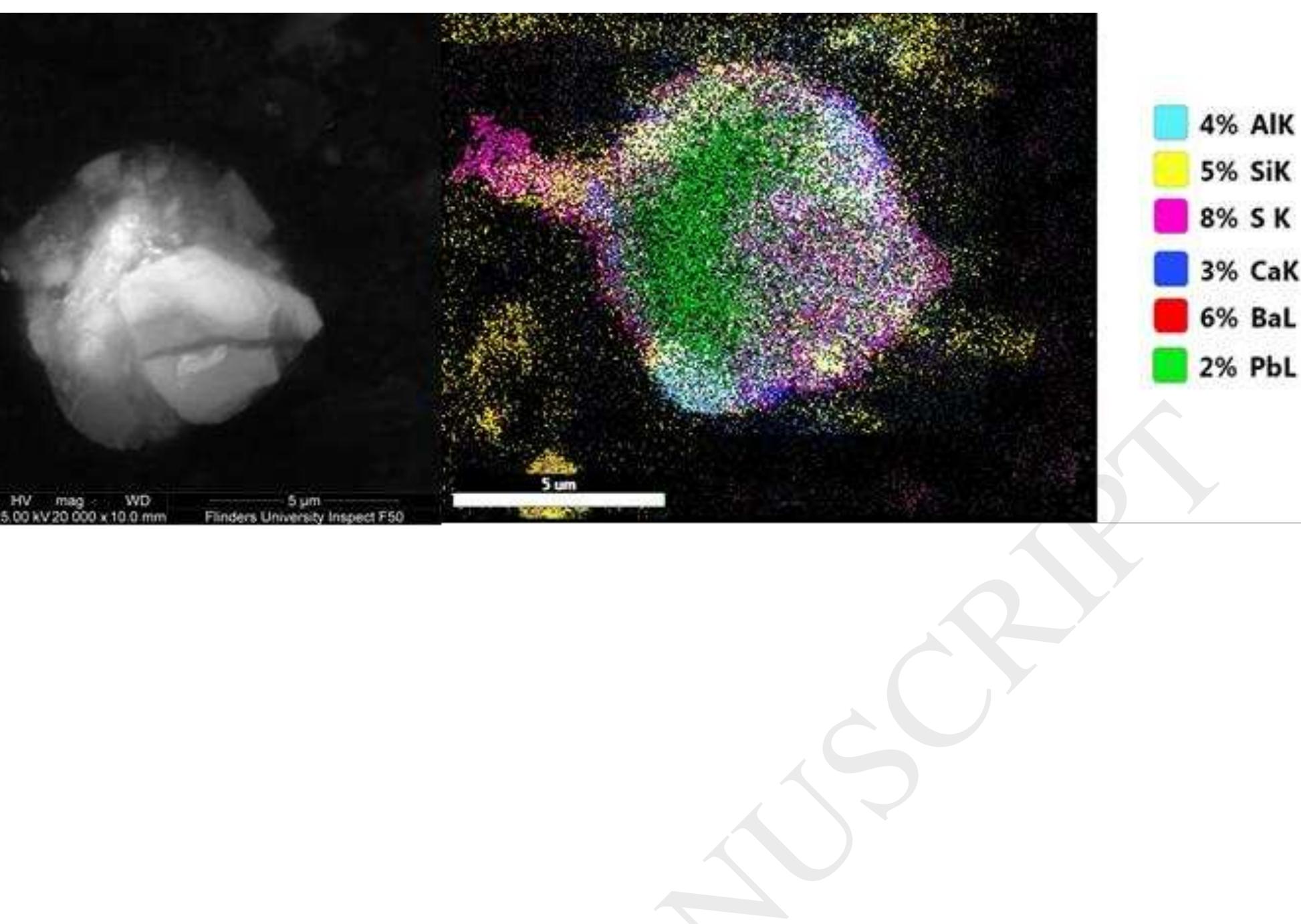 Figure 4: EDS spectrum showing elements detected in the particle shown in Figure 3, which included low levels of Mg and A  Figure 3: Secondary electron image (left) and an elemental map (right) of a 'Pb/Ba' particle containing Pb, Ba, Ca, Si, Al, and S 