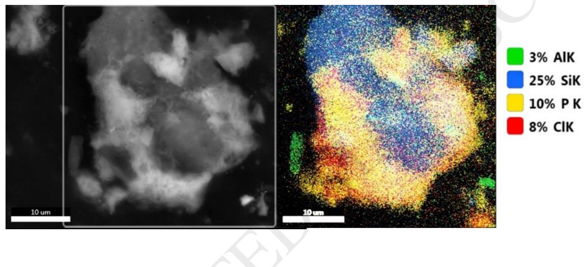 Figure 10: SEM images showing round and globular particles sourced from matches  Figure 9: SEM image and an elemental map of a Si containing particle (presumably SiO2), encrusted with Al, P, K and Cl. 