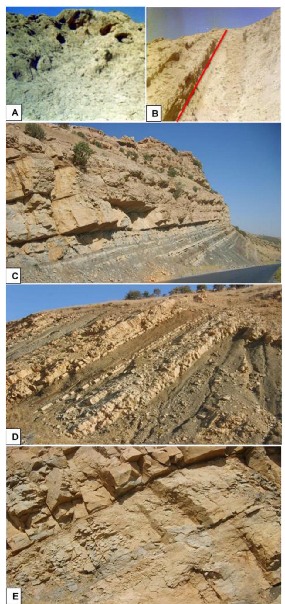 Bedded Ridge (PDF) Depositional environment of the late Paleocene-early Eocene ...