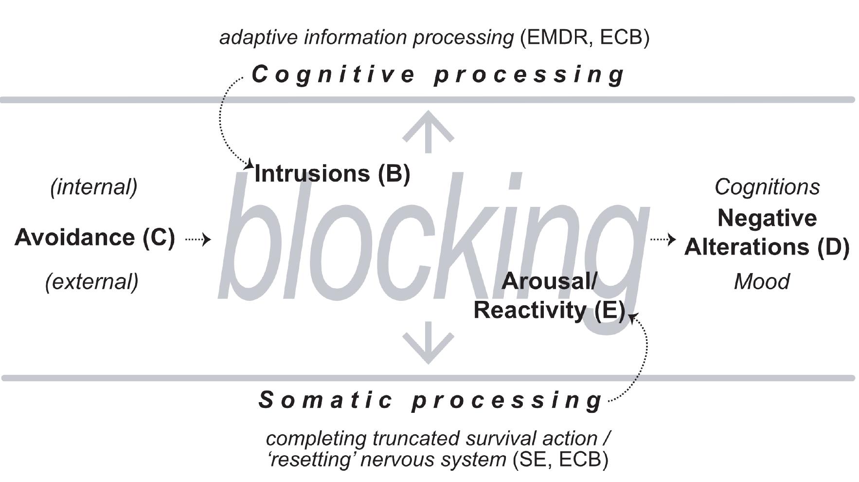 Note. a schematic representation of the iceberg model of the