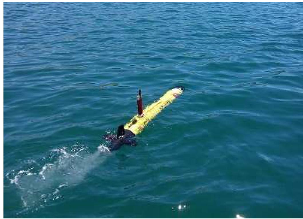 (PDF) Side-Scan Sonar Imaging Data of Underwater Vehicles for Mine ...