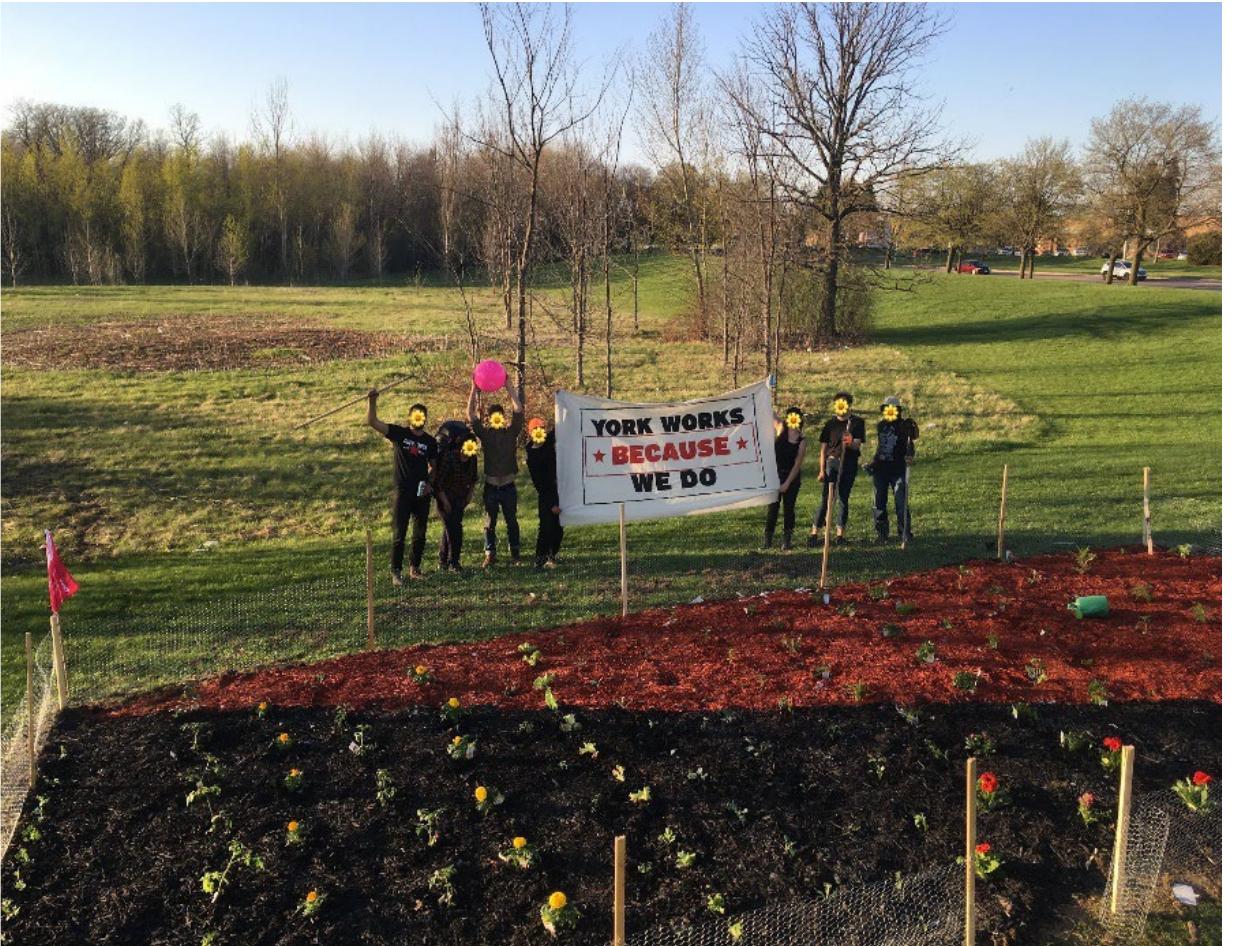 As with other direct actions organized during the strike, the decision to plant a garden challenged hierarchies within the union, especially between conservative factions favoring capitulation and those of us who such factions once described as “left-wing adventurists.” The Big Gay Gardeners coalesced through shared interests in radical ecology and land-based resistance and by deep desires for repertoires of relating that emphasized healing over hierarchy. Most of us did not arrive as experienced gardeners. Planting the garden expressed a shared willingness to practice our principled belief in the power of prefigurative action. The BGG could work if we did.  emplaced, embodied, and expanded collective desires for horizontalism, community care, mutualism, and repair. By interrupting the exhausting rhythms of the strike, the BGG midwifed a shift into str*ke time, a mode of relating both to each other and to the land and its many inhabitants with greater curiosity, compassion, and reciprocity. Tending to the BGG in and as str*ke time taught us that the land itself has the power to absorb and transmute collective grief, rage, anger, and despair into nourishment, beauty, sweetness, and delight. 