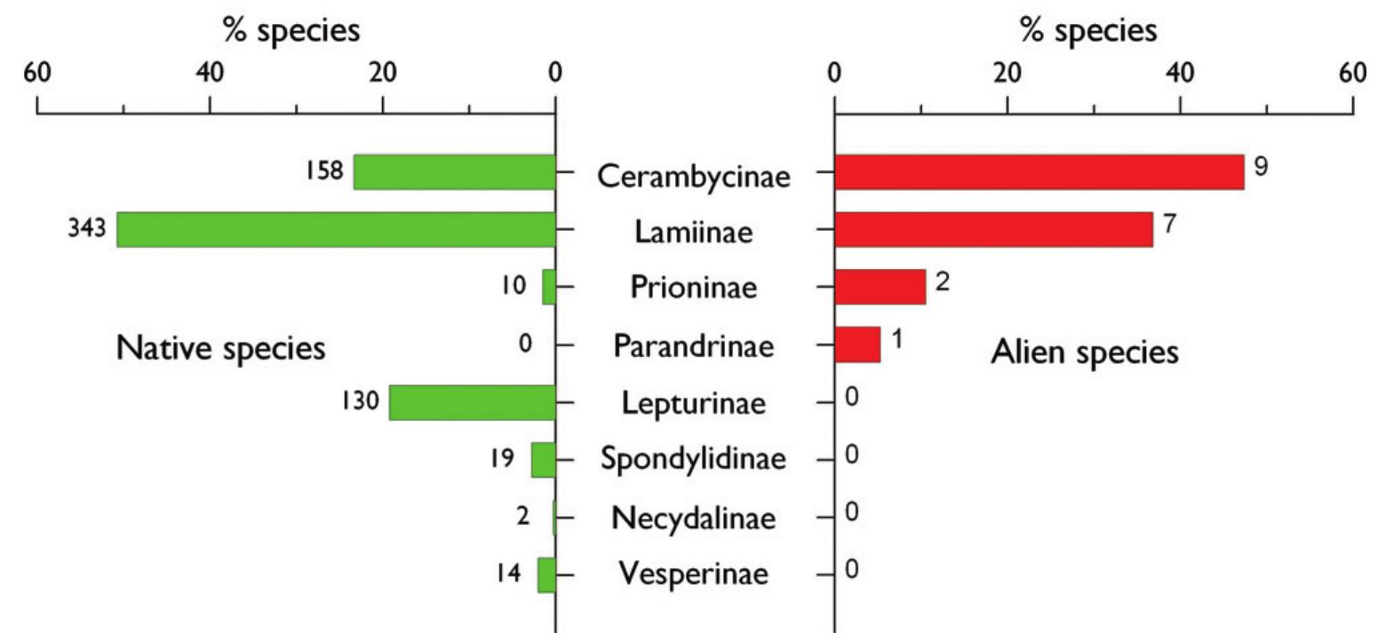 (PDF) Longhorn beetles (Coleoptera, Cerambycidae)