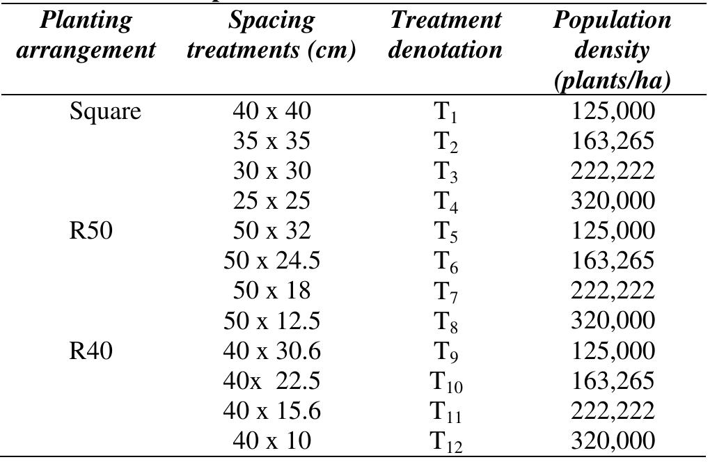 (PDF) Effects of Plant Density and Planting Arrangement in Green Bean ...