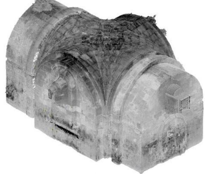 The lower room was generally intended for burials while the upper one was intended for the sacred rite.  Fig. 8 — Point cloud of the intrados of the lower environment (MC processing). 