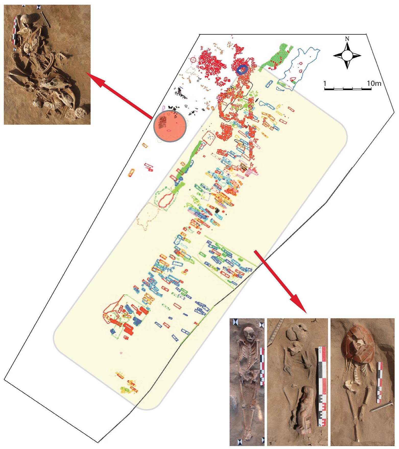 Fig. 2 Plan of the Jal al Bahr necropolis (Plan and photos: DGA Lebanon) / Organisation de l’espace sépulcral dans la nécropole de Jal al Bahr (plan et photos : DGA Liban) 