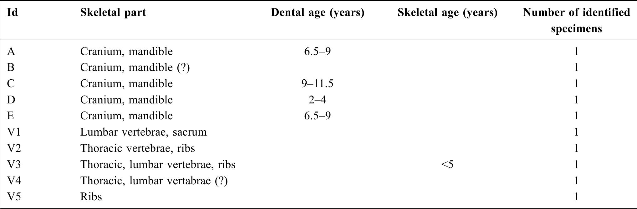 Table 3 Quantification of the articulated cattle remains in NISP (number of identified specimens) and age-at-death estimation (based on dental eruption and attrition sequence and epiphyseal fusion). The cranium and mandible B and thorax segments V1, V2, V4 and V5, not recovered during excavations, are visible in the site photographs / Quantification en NR (nombre de restes) des restes de bovinés et estimation de l’age (basé sur l’usure dentaire et l’épiphysation des os postcrdaniens)  lay in a supine position. Individual 3 (2-3 years of age at death) is part of the same group and had been placed snugly against the left upper limb of individual 2. In addition, the bovine cranium B had been deposited on top of this indivi- dual’s head.  death. Individual 7, an adult of indeterminate sex more than 20 years of age at death, was added later. The bovine thorax segment and vertebral column V3 were found directly above this individual. Individual 8, an adult of indeterminate sex, had been deposited last. The bovine vertebral segments V2 and V4 lay on the pelvis of individual 2. The bovine thorax segment V5 was deposited in the northwest part of the pit, after which a series of remains were added in sequence: bovine cranium C, bovine vertebral column V1, followed by bovine crania D and then E, which lies on the cranium of individual 5. 