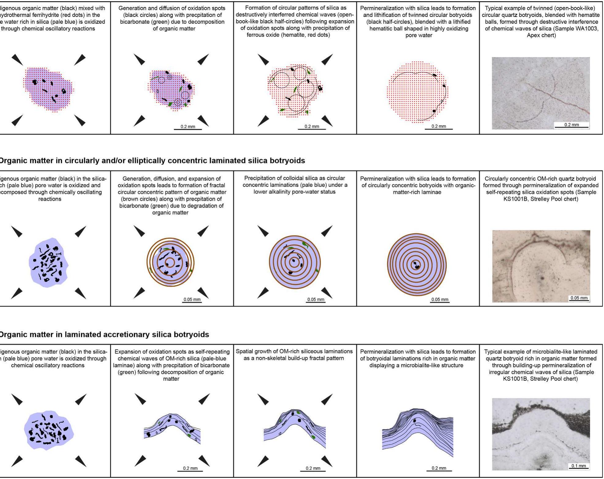 (PDF) Botryoidal quartz as an abiotic signature in Palaeoarchean cherts ...
