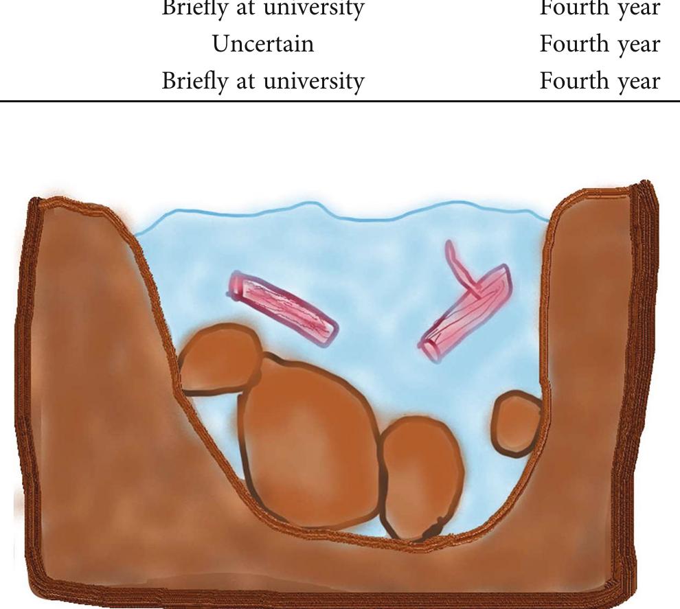 Figure 2 - The Kawa Model: A Self-Reflection Tool for