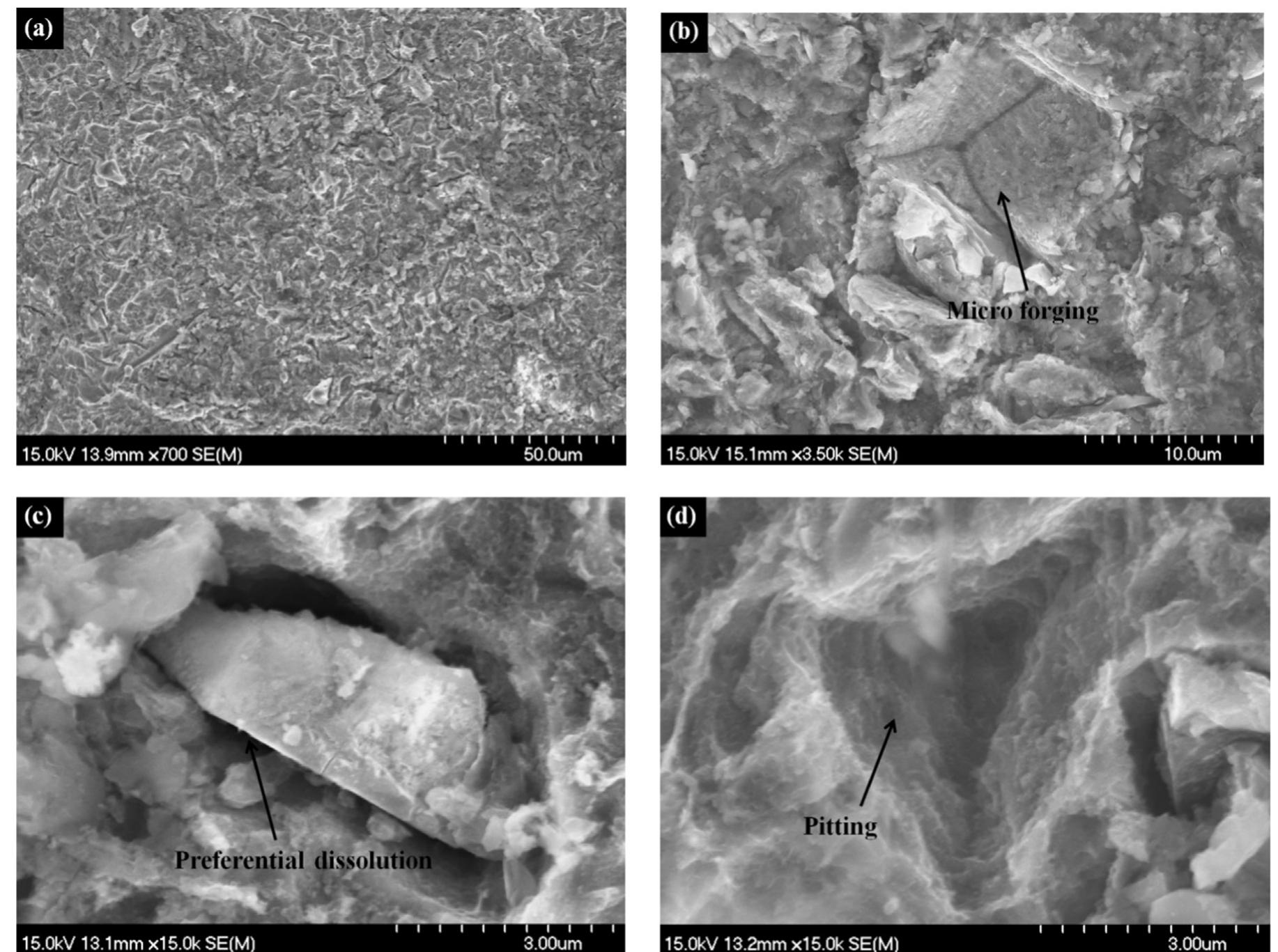 Sem micrographs of api x100, (a) surface morphology after