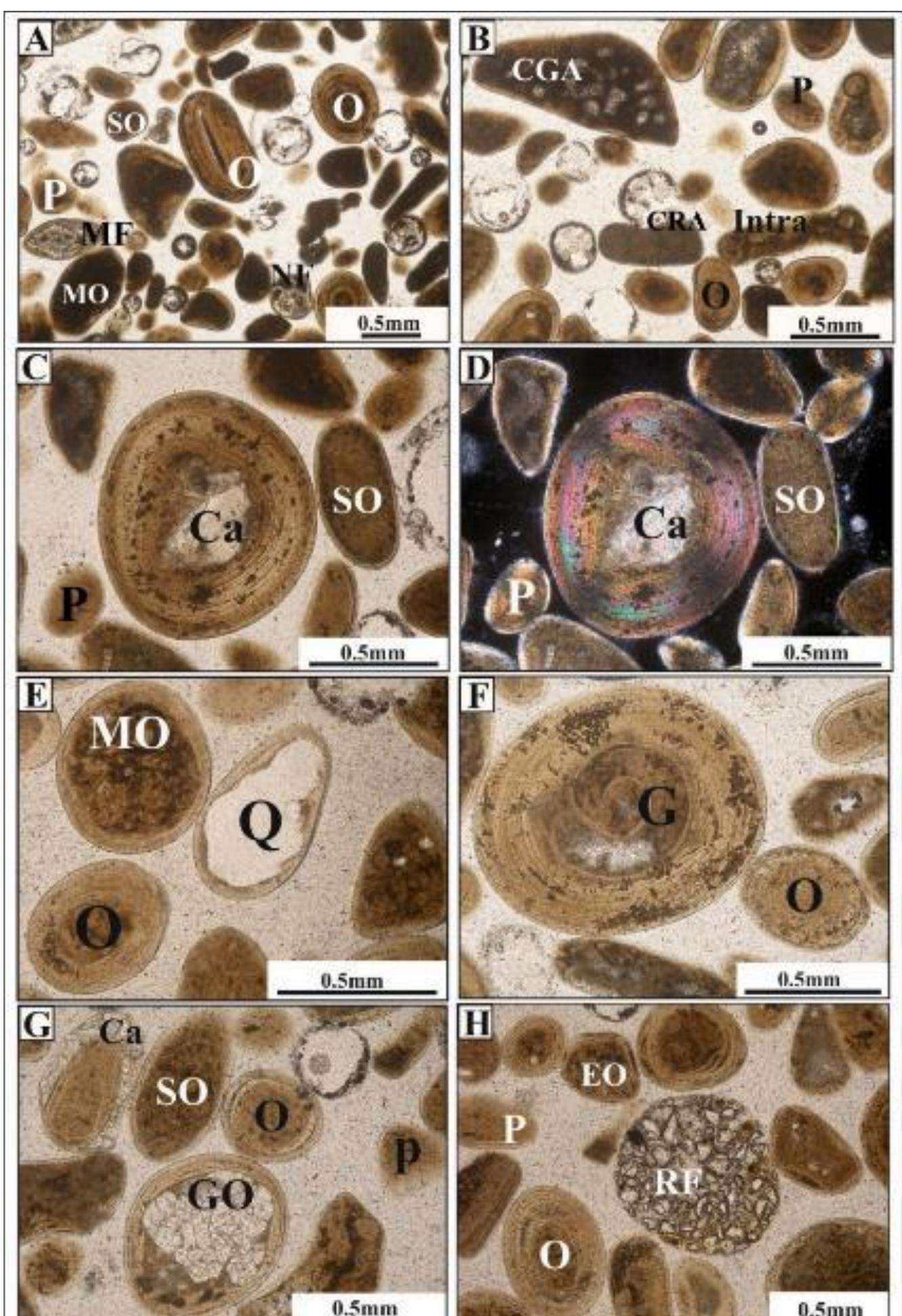 (PDF) Sedimentological and Mineralogical Fingerprint of the Beach ...
