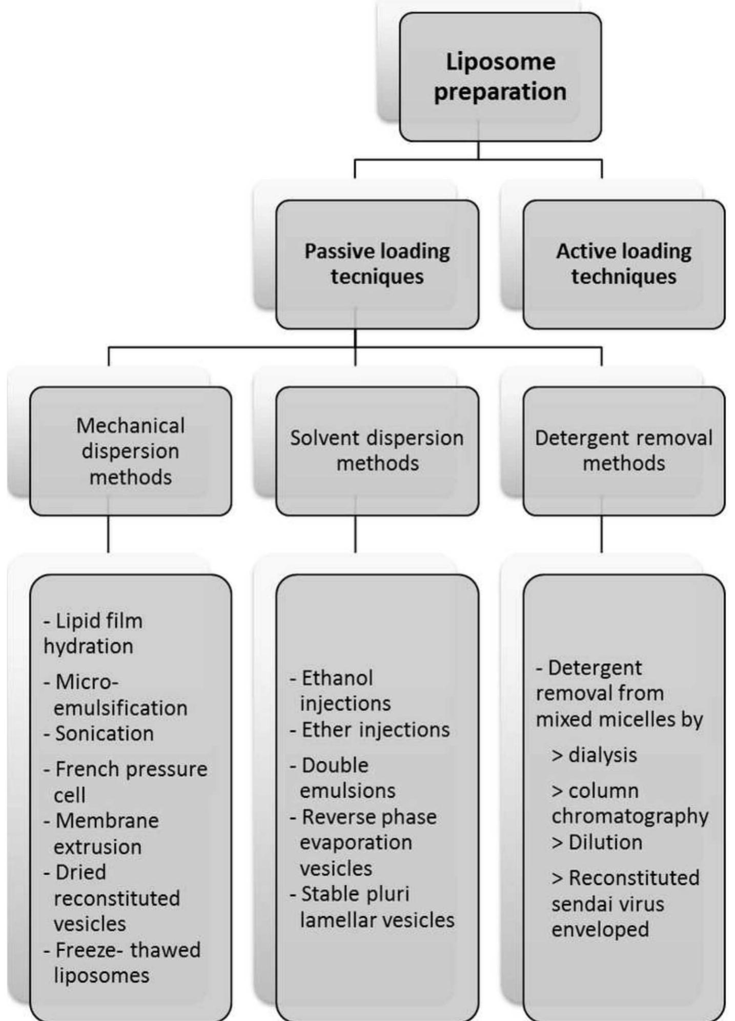 Passive Loading Types of methods of passive loading of liposomes (squibb