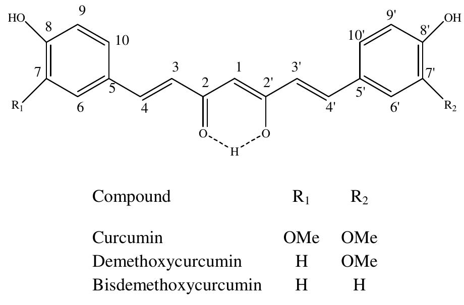 (PDF) Biological Activity of Curcuminoids Isolated from Curcuma longa