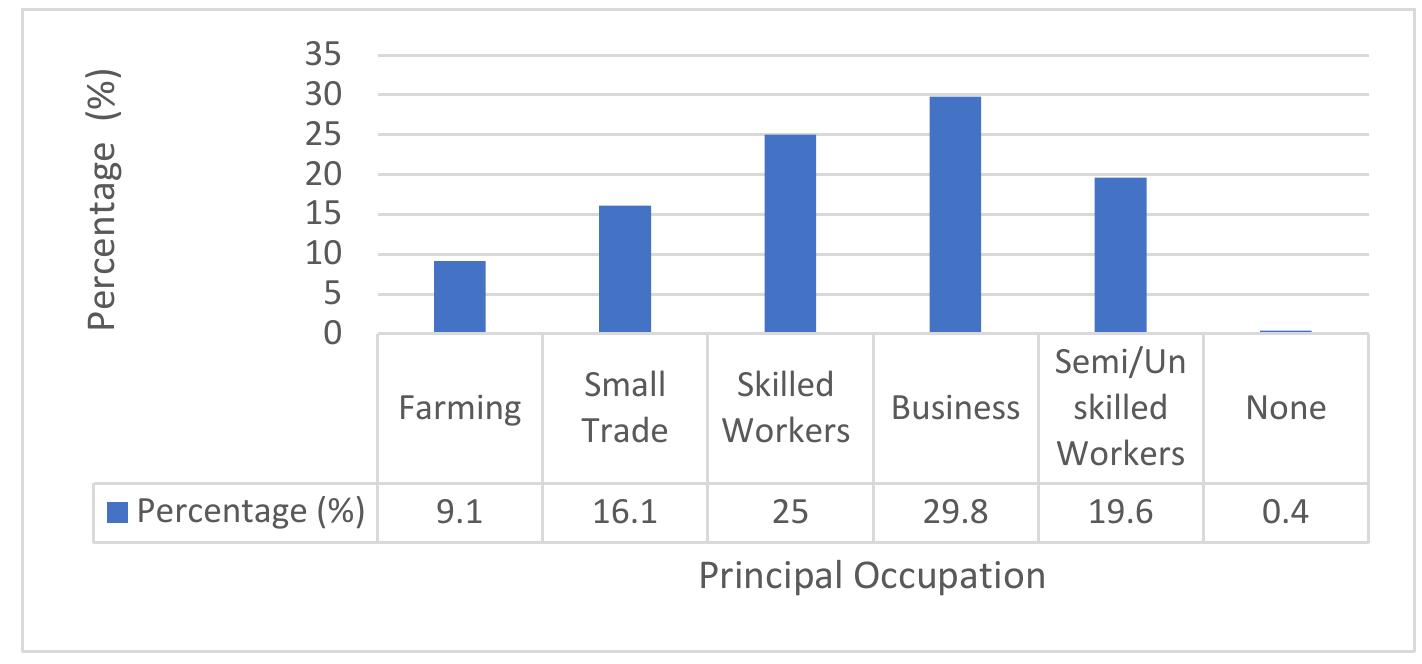 (PDF) Housing Situation in the Bamenda Urban Space, Challenges and the ...