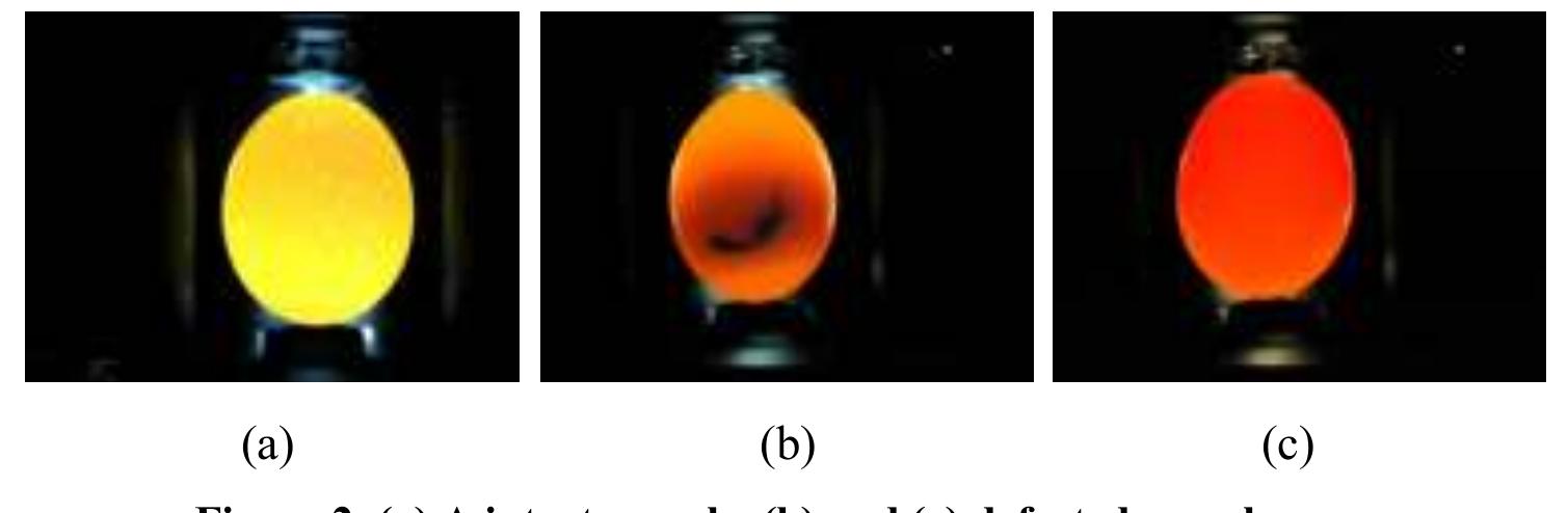 Figure 6 - Grading and Quality Inspection of Defected Eggs