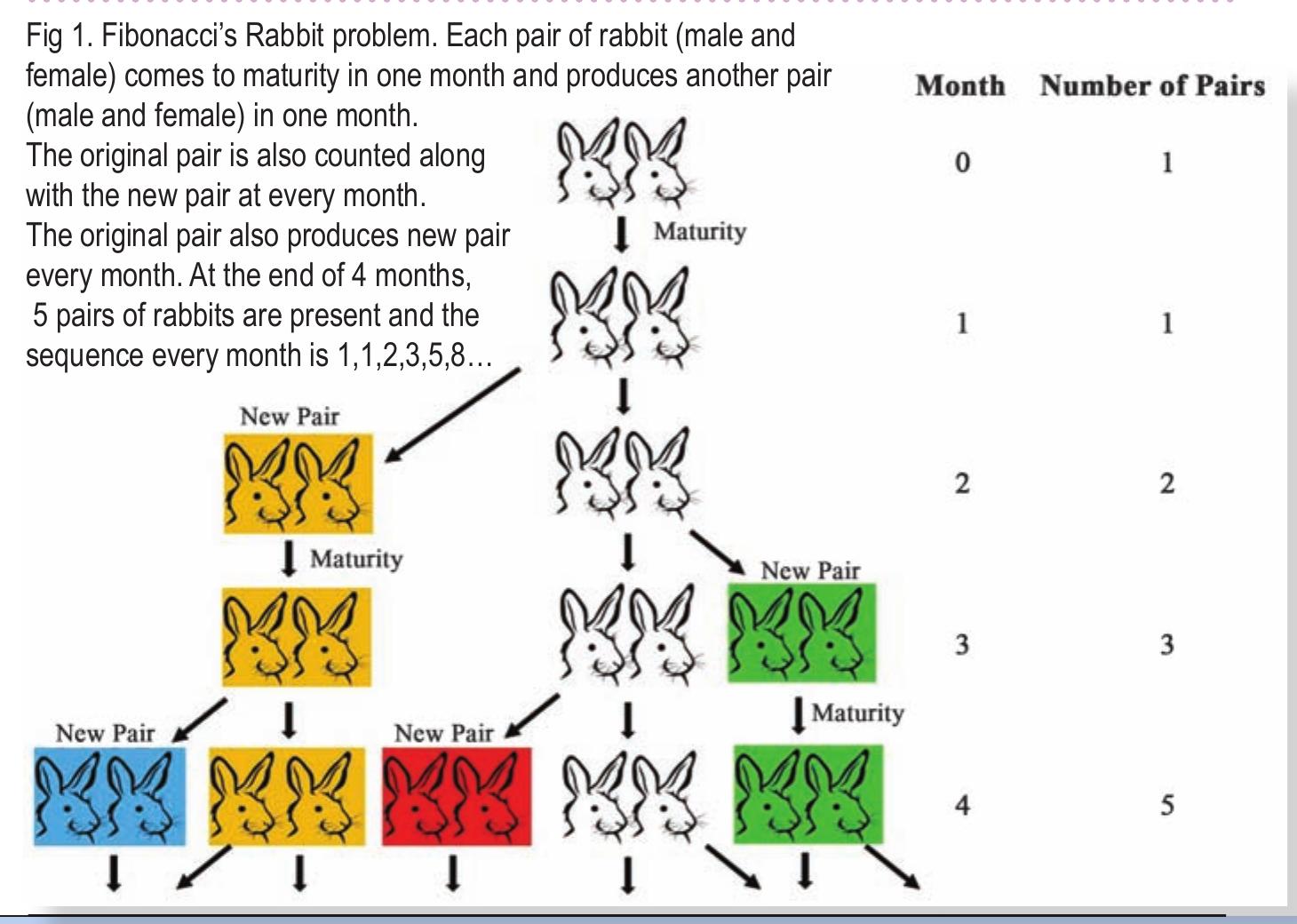 Figure 8 - from The Golden Mathematics of Life