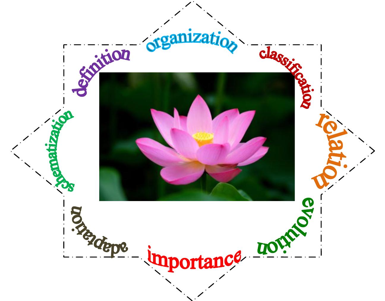 (PDF) Lotus Blossom Technique - interactive group teaching-learning method