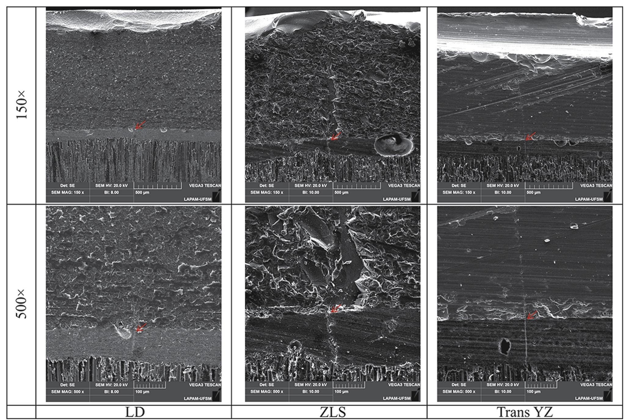 Topography and microstructure of ceramic materials obtained