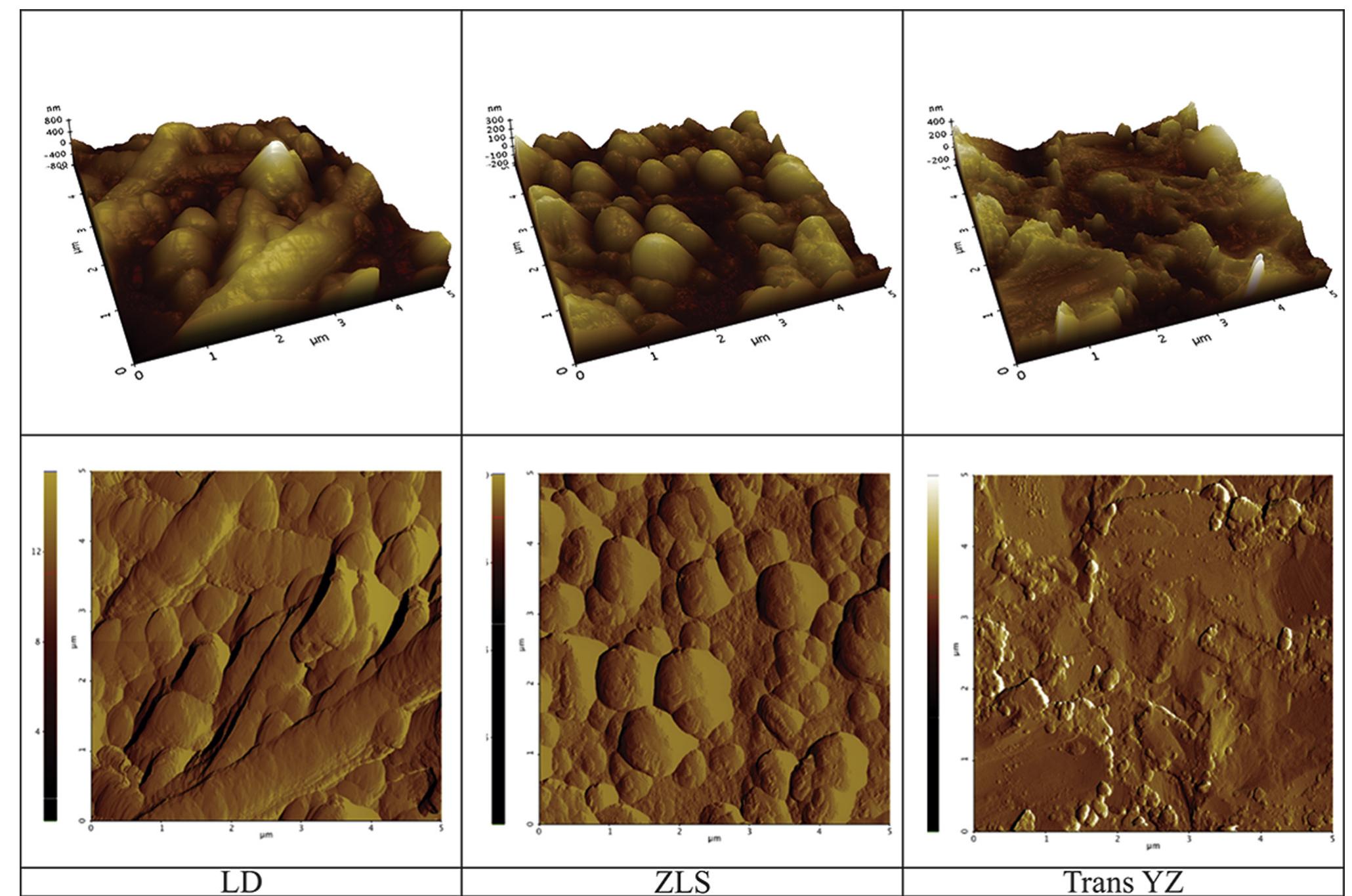 Topography and microstructure of ceramic materials obtained