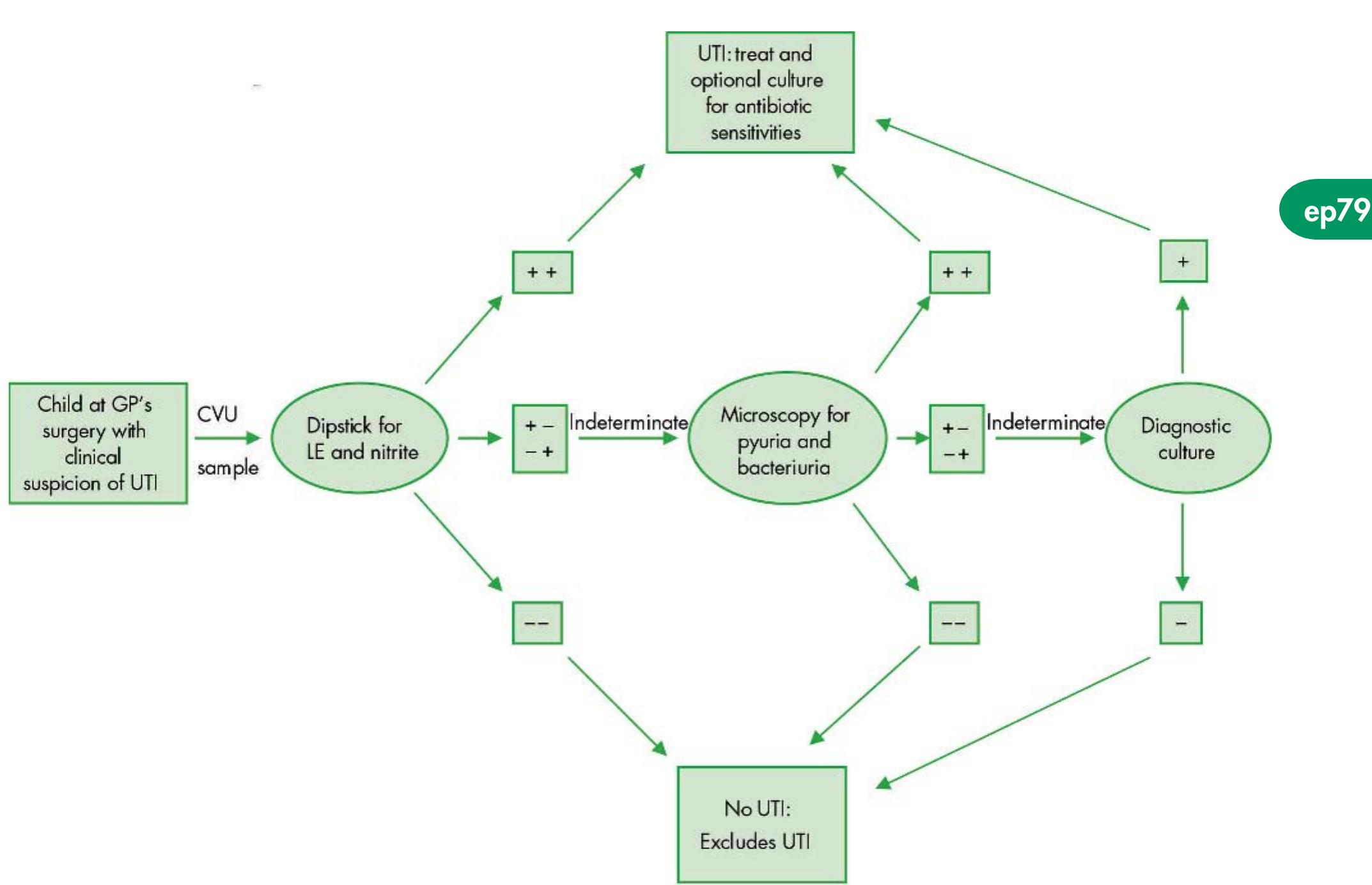 (PDF) Managing Urinary Tract Infections in Young Children