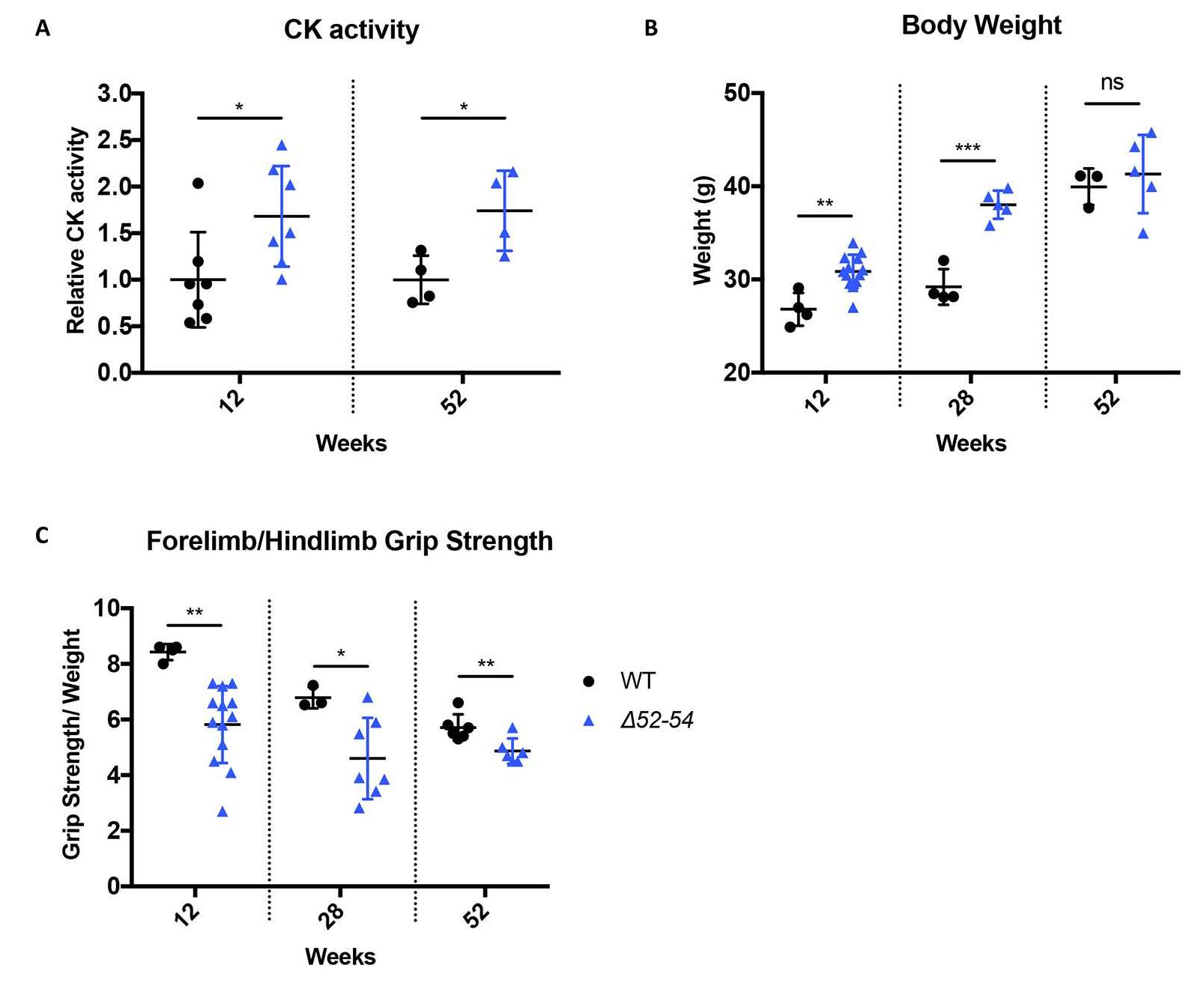 (PDF) A novel mouse model of Duchenne muscular dystrophy carrying a ...