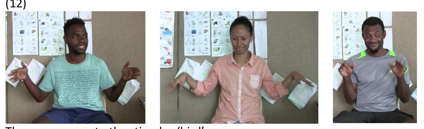 Turning now to CULTURE, in addition to its discrete acquisition pathways and social circumstances of use, this way of communicating can be defined as a way of signing that does not, as a rule, incorporate ASE elements. | say ‘as a rule’ because some signers who are identified by SIGN LANGUAGE users as CULTURE gradually come to incorporate ASE-derived SIGN LANGUAGE signs into their repertoires, as Richard is doing with his acquisition of SIGN LANGUAGE SKON (7). CULTURE, as a rule, includes lexical signs of only local origin. | presented a Swadesh-style pictorial wordlist (developed for Reed 2019a; see pp. 56-57) to SIGN LANGUAGE users in Moresby, and explicitly asked for CULTURE sign responses to the stimuli. Example (12) shows responses to the stimulus ‘bird’ from Emmanuel Leka (Moresby), Varo Matagu (Central province), and Johnny Hasu (Gulf province).  BIRD in this form is a widely-shared CULTURE sign across idiolects. Other commonly recurring CULTURE signs include FEMALE (1), AEROPLANE (1), and SCHOOL (3). Other CULTURE signs are unique to particular individuals. Example (13) show  responses to the stimulus ‘tree’: 
