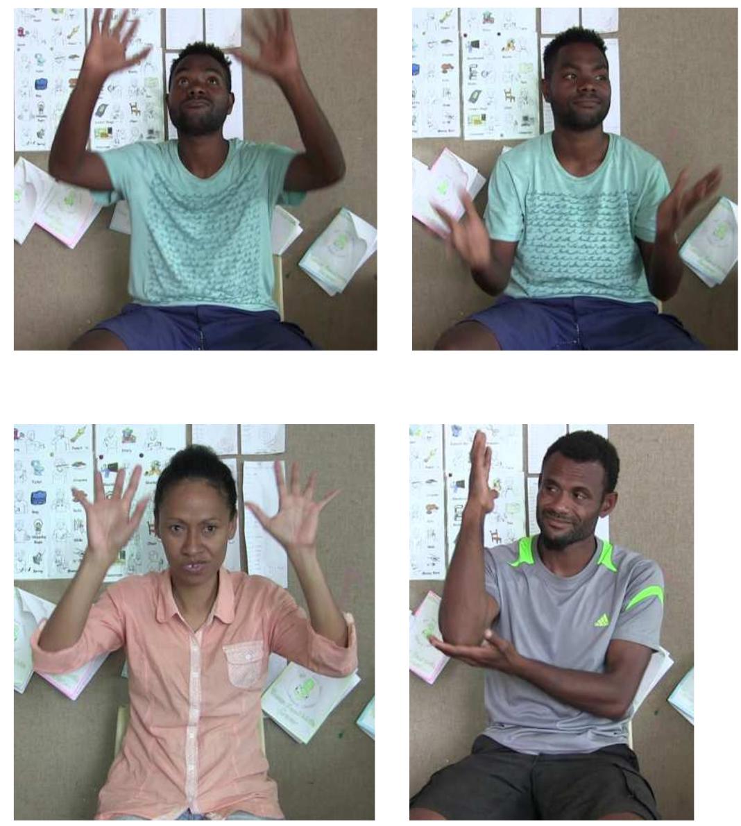 Three responses to the stimulus ‘tree’  Each of these CULTURE signs has different forms. Varo’s sign for ‘tree’ appears tc refer to the denseness of a forest; Emmanuel’s to the round foliage of the tree; anc Johnny’s to the trunk.* Consider now (14), from a narrative by CULTURE signe Raikos Kanak from Eastern Highlands province. Raikos uses the widely-sharec CULTURE sign BIRD, as well as his own sign for ‘tree’. This ‘tree’ sign happens to be the same as Johnny’s in (13), although both men come from provinces many mile:  apart (see Map 1). 
