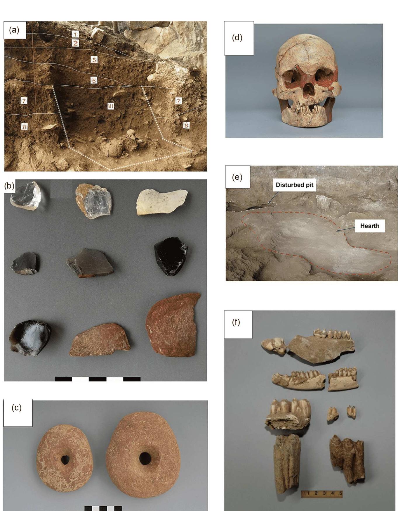 (PDF) Phytolith evidence for human-plant subsistence in Yahuai Cave ...
