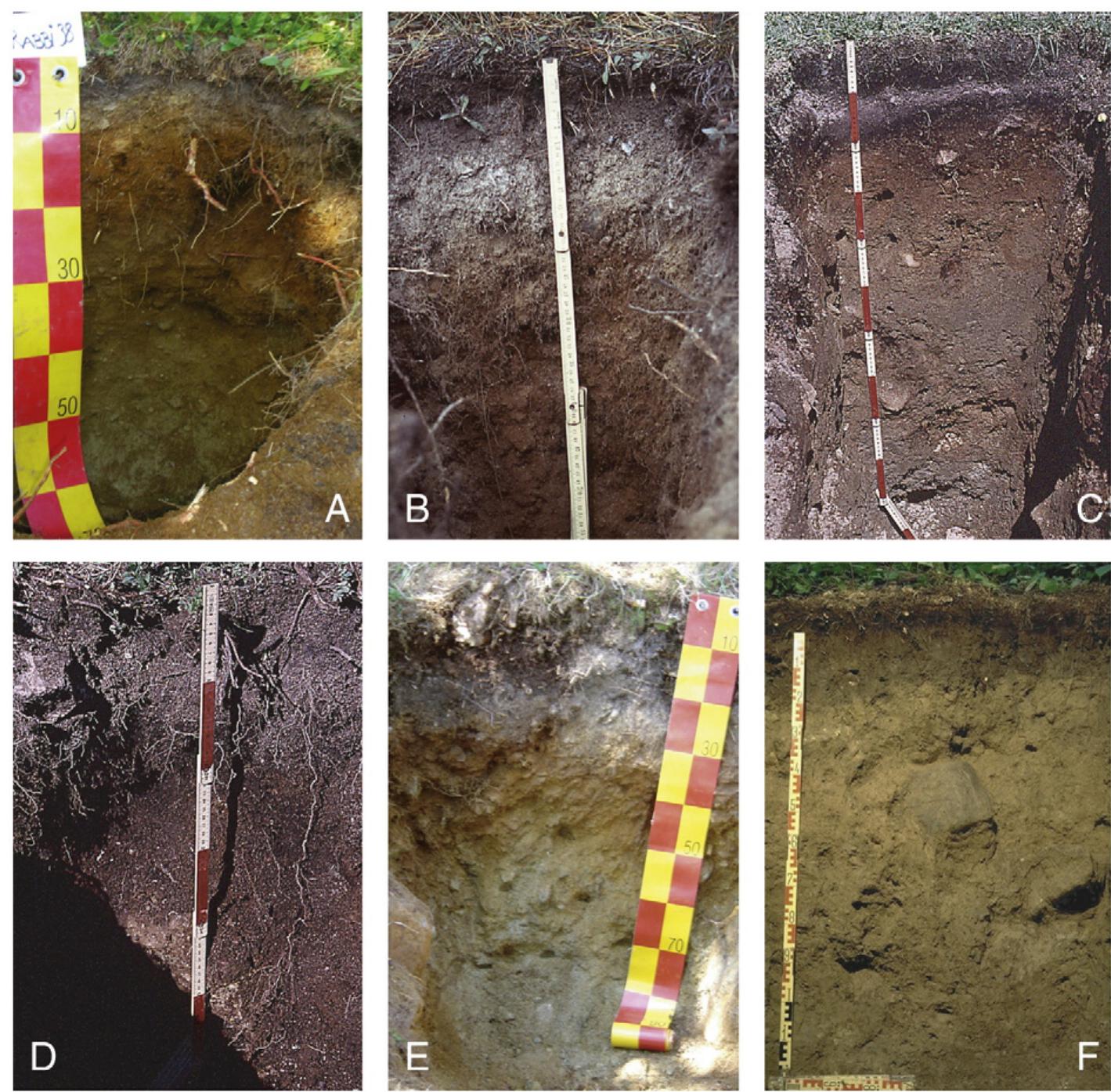 Finer Method (PDF) 10Be inventories in Alpine soils and their potentiality for ...