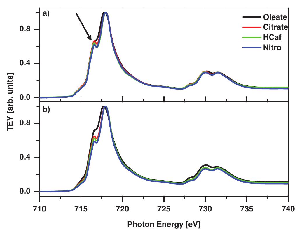 Normalized xmcd spectra of iron oxide nanoparticles