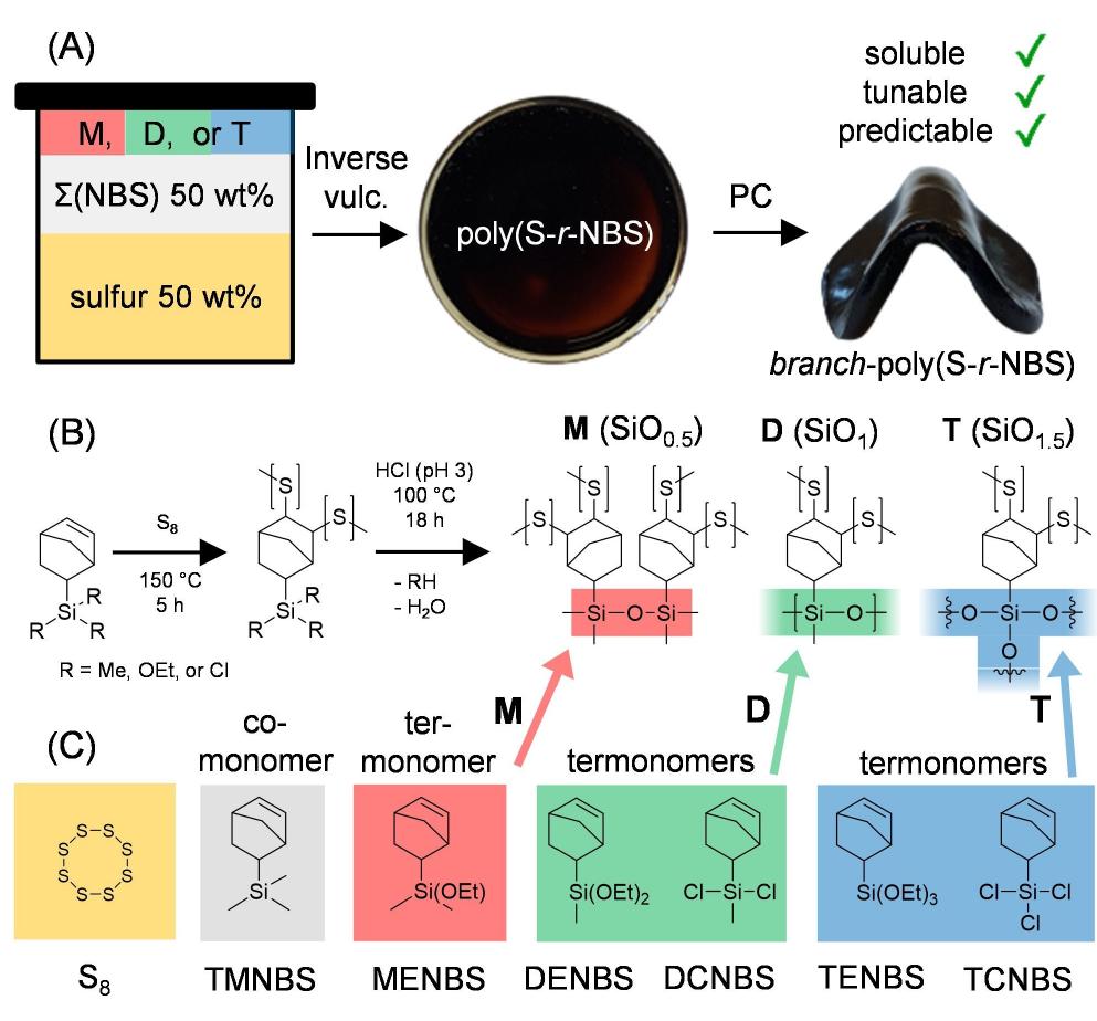 (PDF) Inverse Vulcanization of Norbornenylsilanes: Soluble Polymers ...