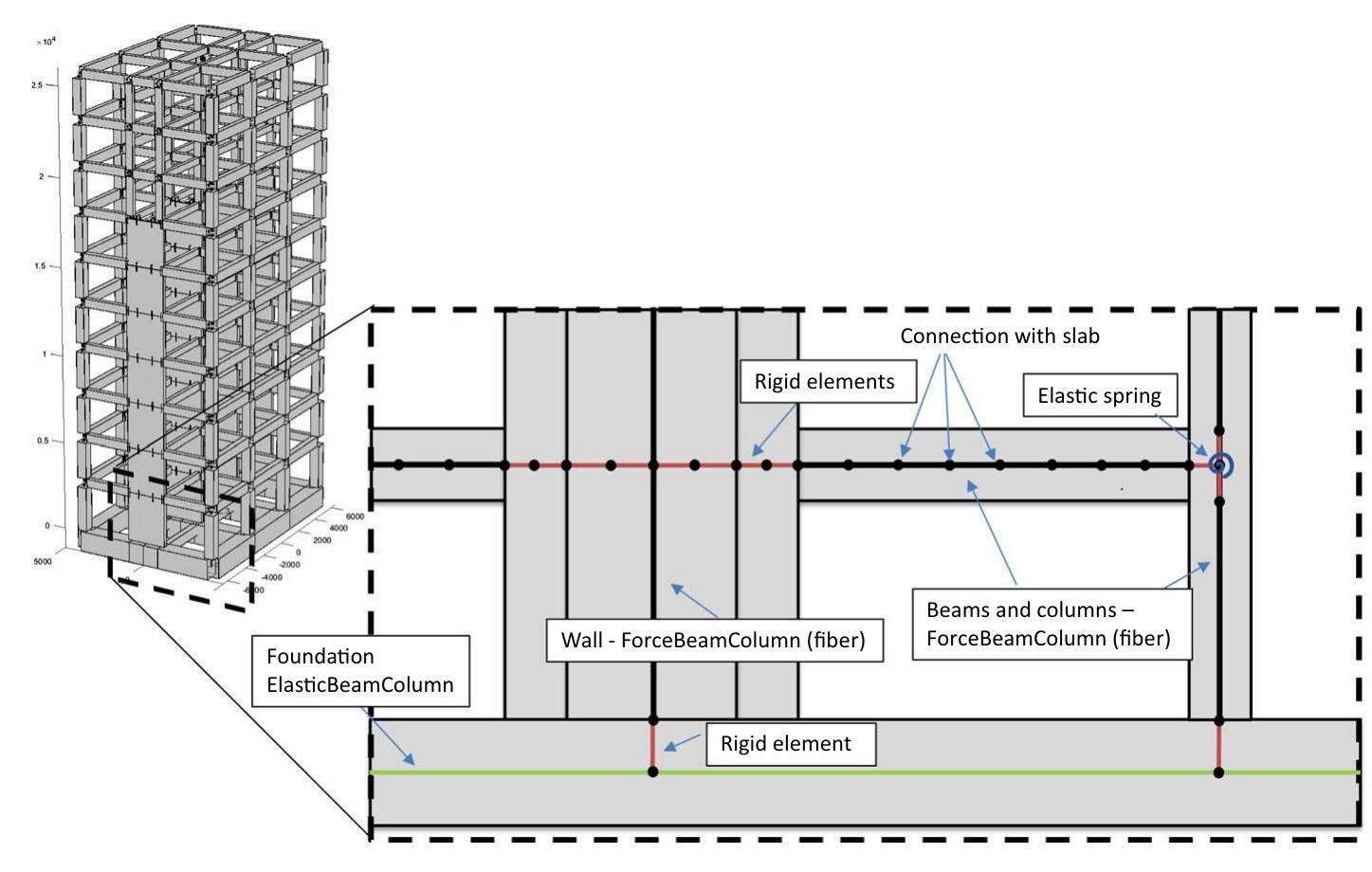 Schematic representation of the f model
