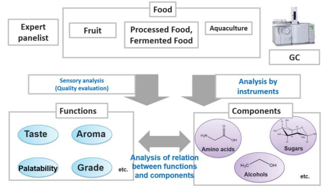 (PDF) Metabolomics application for food quality improvement and ...