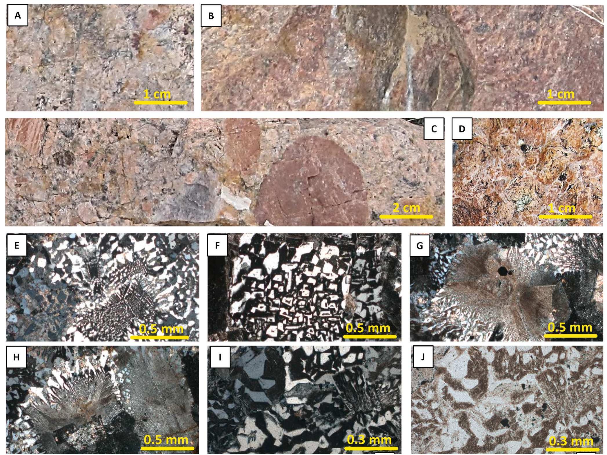Potassic Rocks Types of fluid inclusions in quartz from